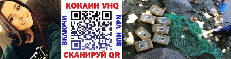 Cocaine FishScale  Купить закладки  Куровское 