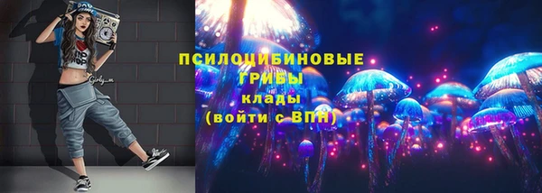 2c-b Верея