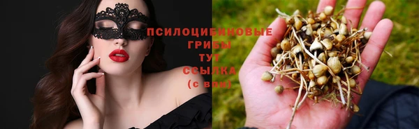 2c-b Верея