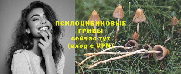 тгк Волосово