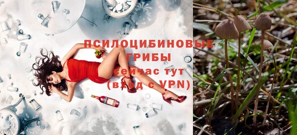 эйфоретик Володарск