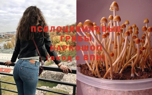 гашишное масло Верхний Тагил