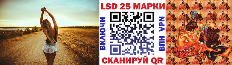 Купить где  Куровское  Марки N-bome 1,8мг 