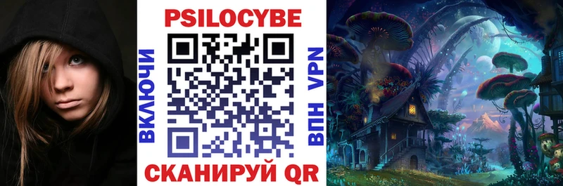 Купить закладки  Куровское  Псилоцибиновые грибы мицелий 