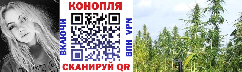 Купить закладки Куровское Канабис ГИДРОПОН